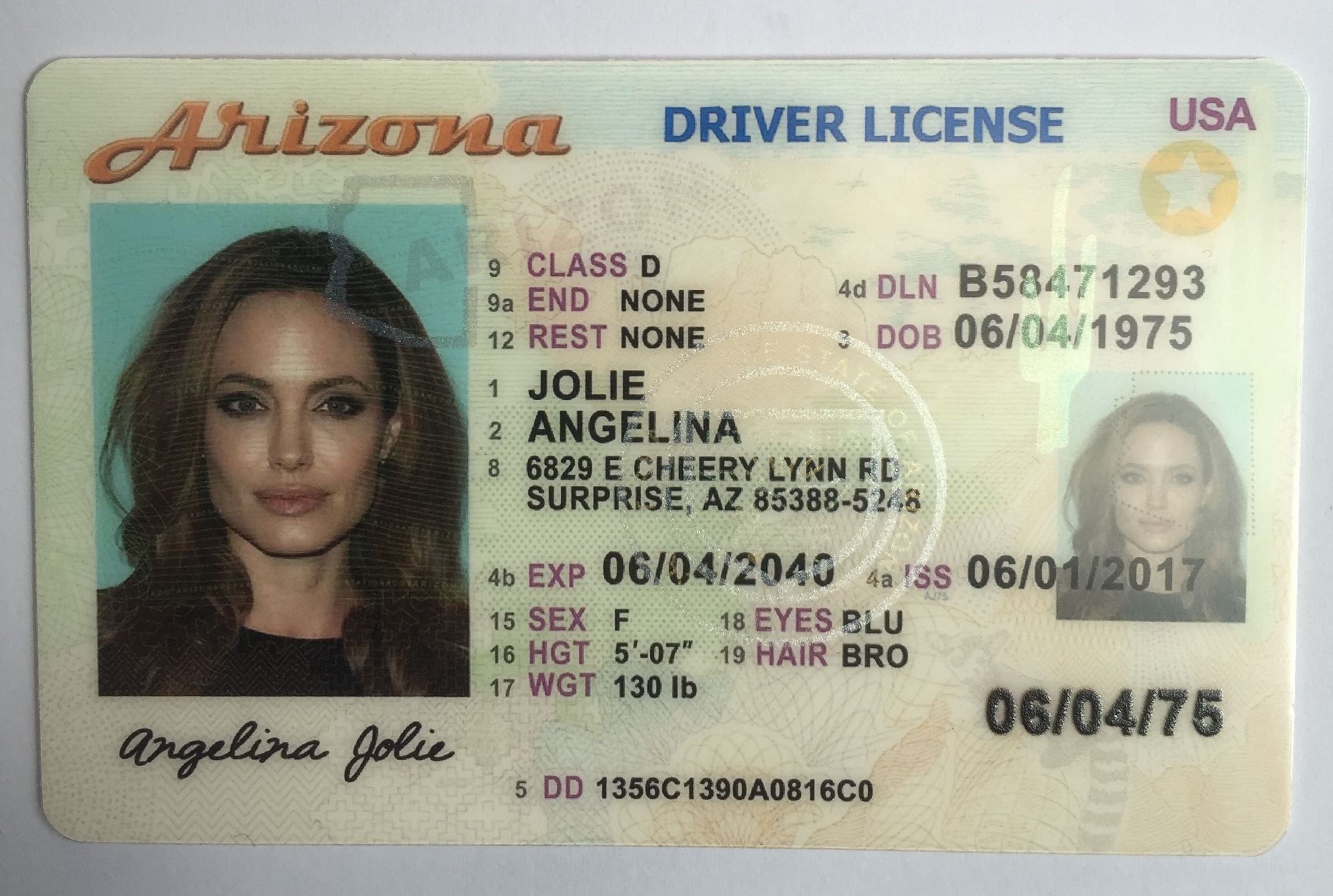 florida temporary drivers license