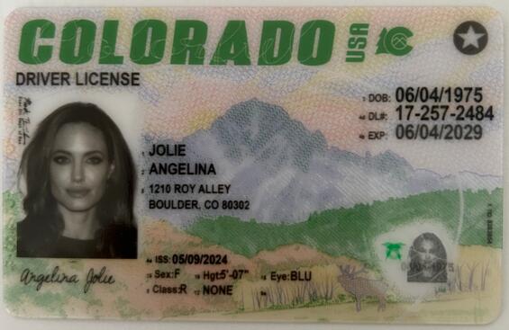 Fake Driving License - Colorado
