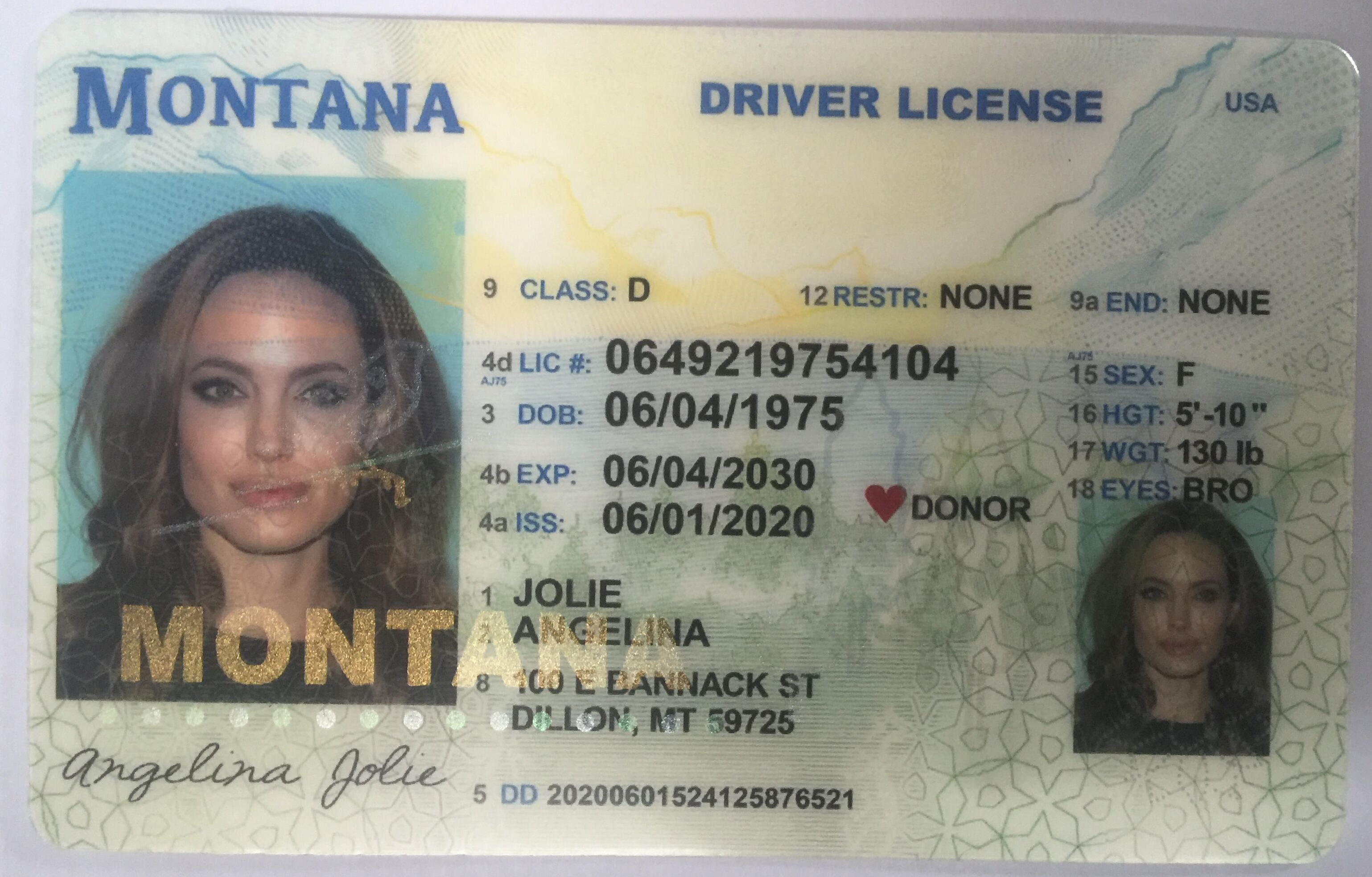 how to spot a fake south carolina drivers license
