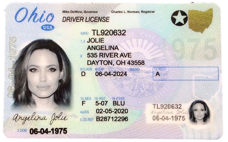 fake drivers license template ohio