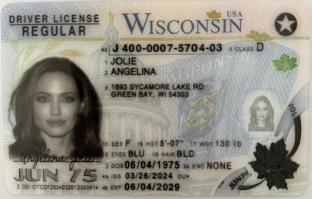 Fake Driving License - Wisconsin