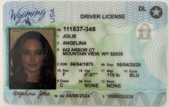 Fake Driving License - Wyoming