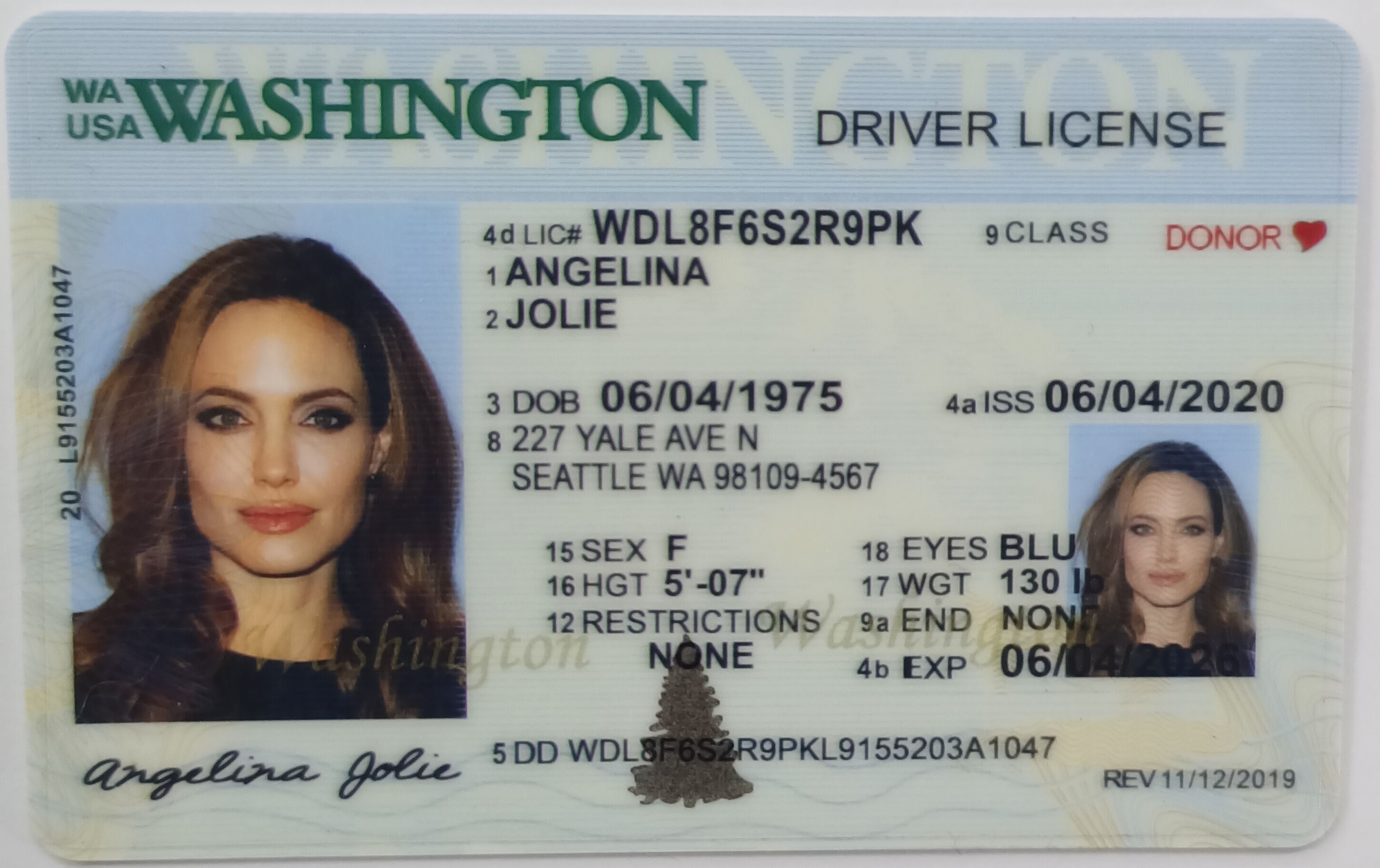 fake drivers license maker software